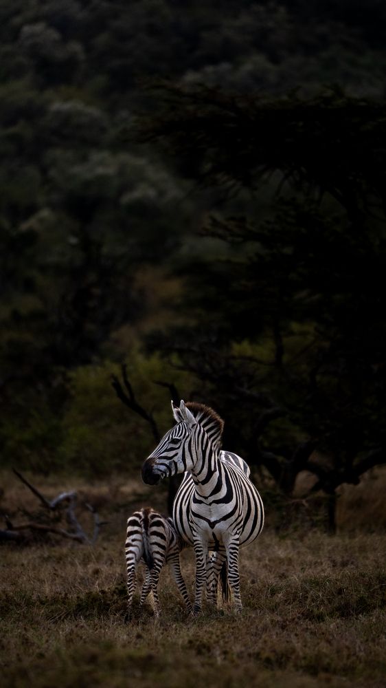 Photograph by Pula Pranav