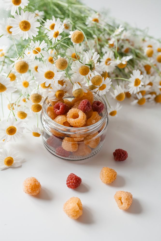 Фотография автора Альбина Кадочникова