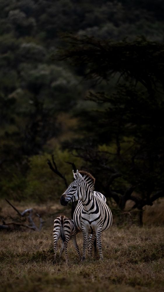 Photograph by Pranav Pula