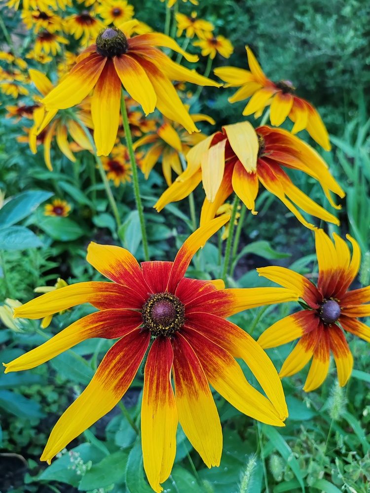 Фотография автора Андрей Данильсон