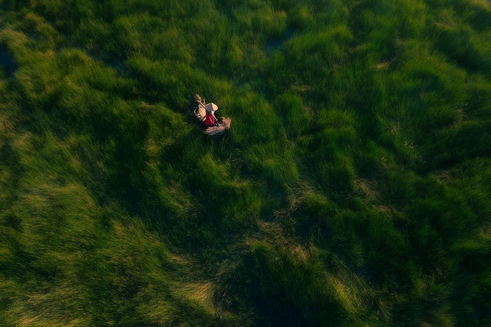 Photograph by Nghi Le Huu