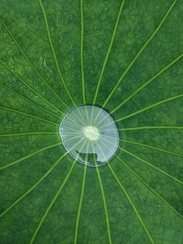 Photograph by Константин Косяков