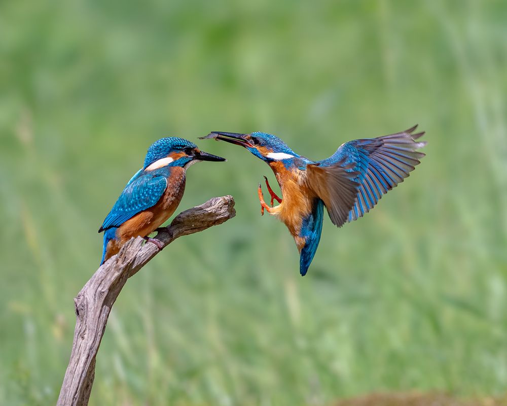 Photograph by Дорн Оксана