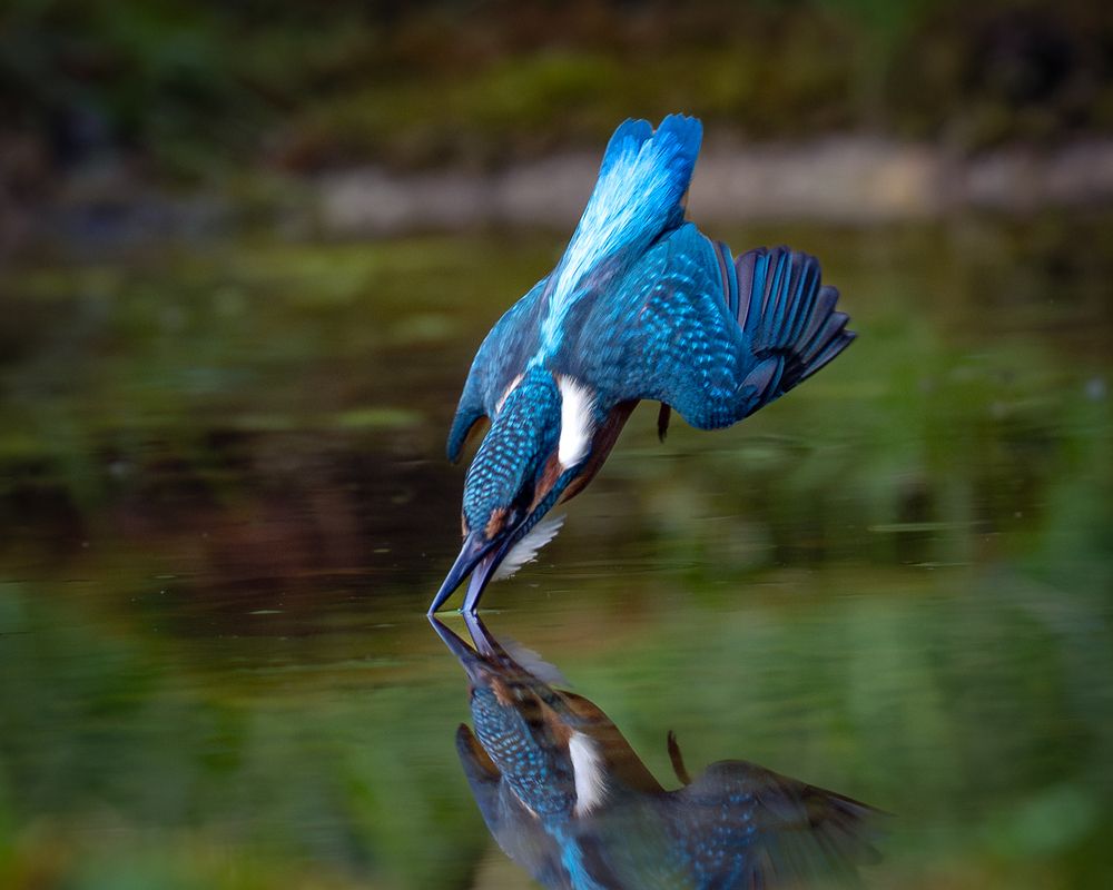 Photograph by Дорн Оксана