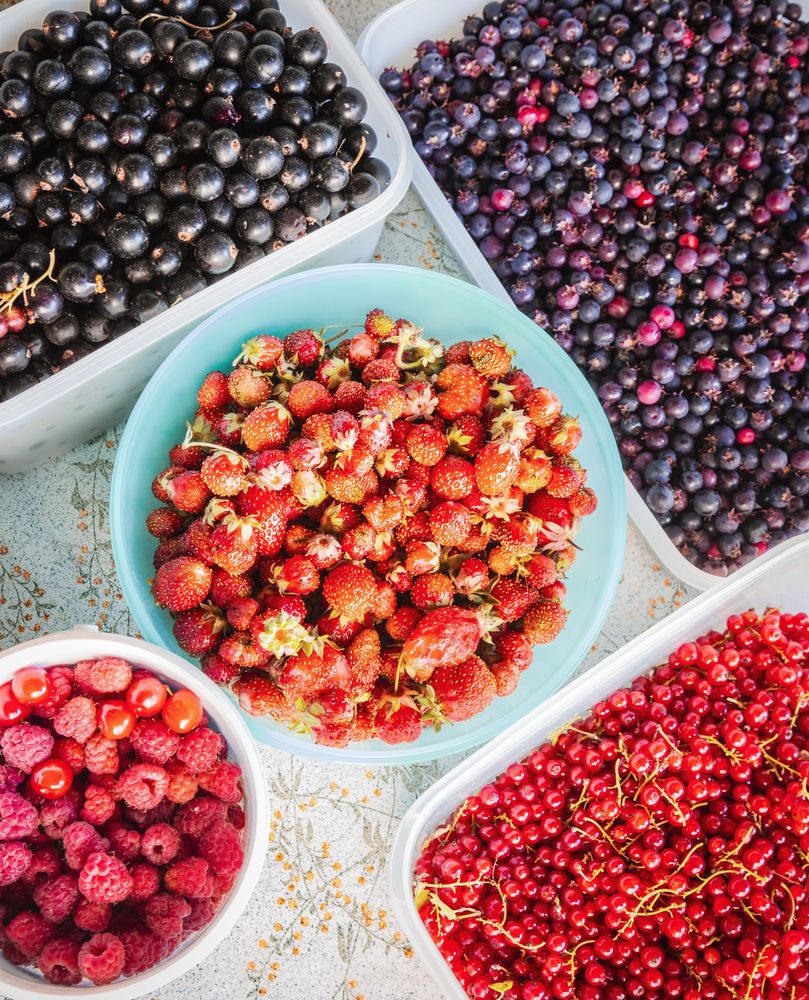 Фотография автора Каргин Валерий