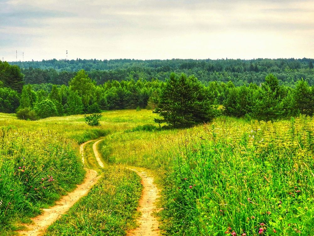 Photograph by Александр Шаварин