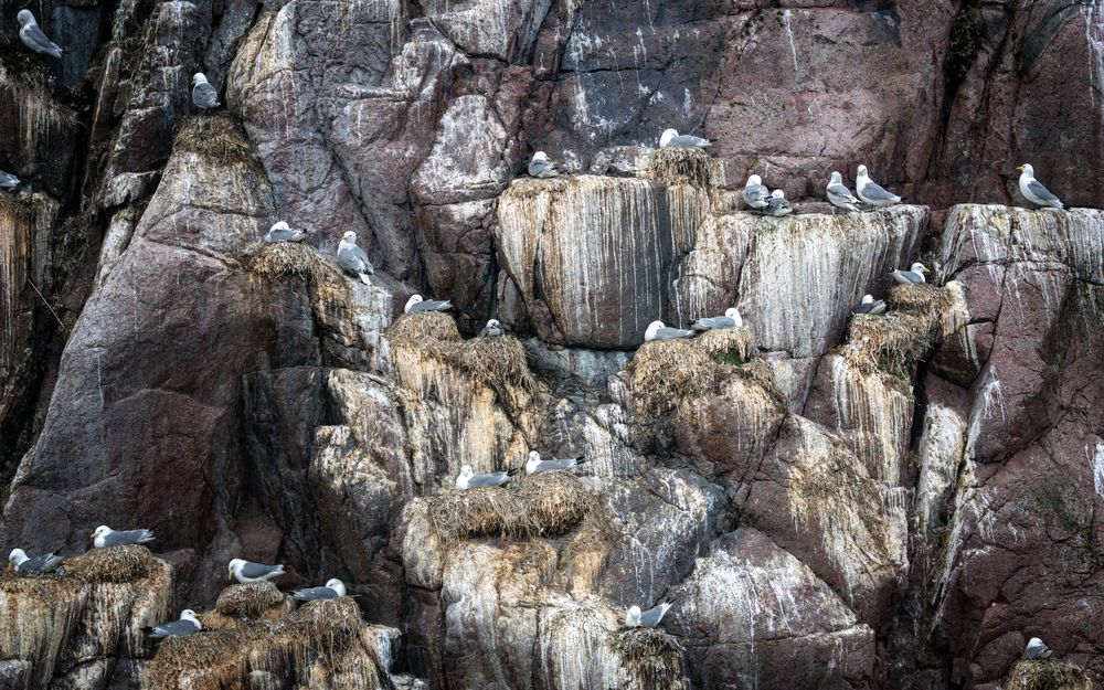 Photograph by Александр Рудный