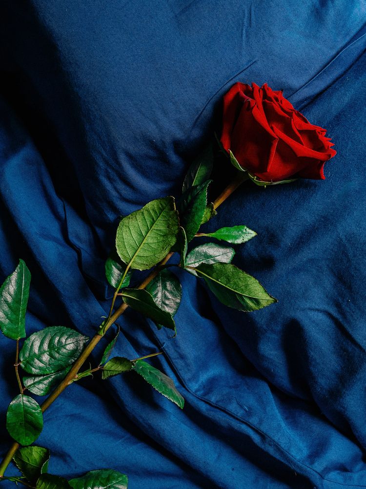 Фотография автора Анна