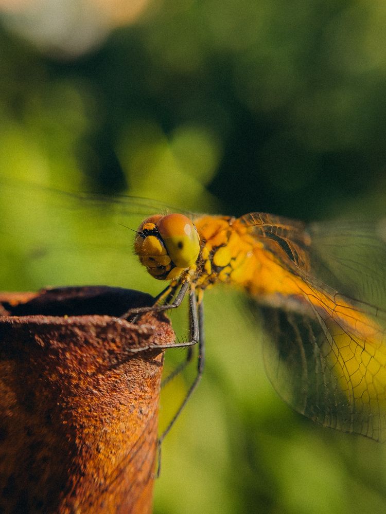 Photograph by алена