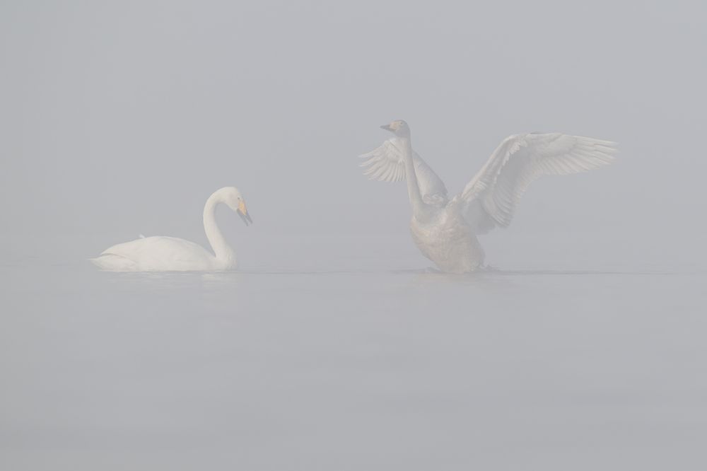 Photograph by Valerijs Bukovskis