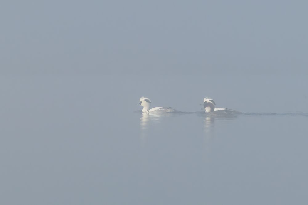 Photograph by Valerijs Bukovskis