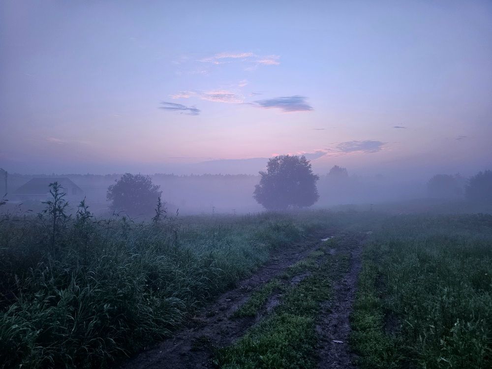 Photograph by Maria Yakovleva
