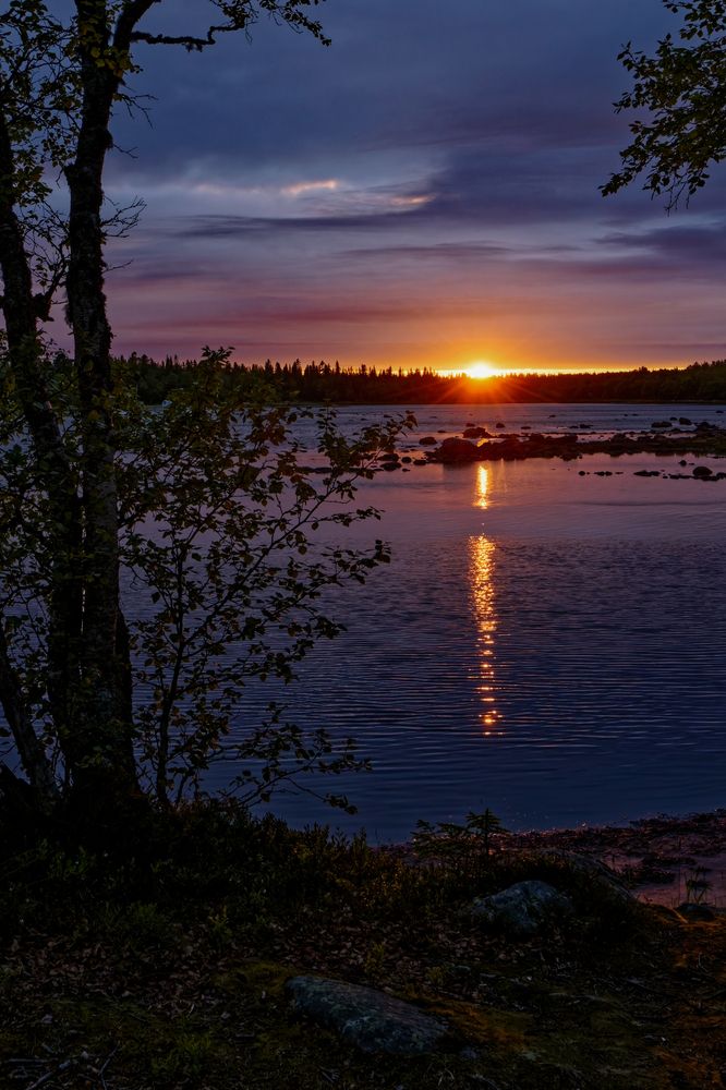 Photograph by Александр Селезнев