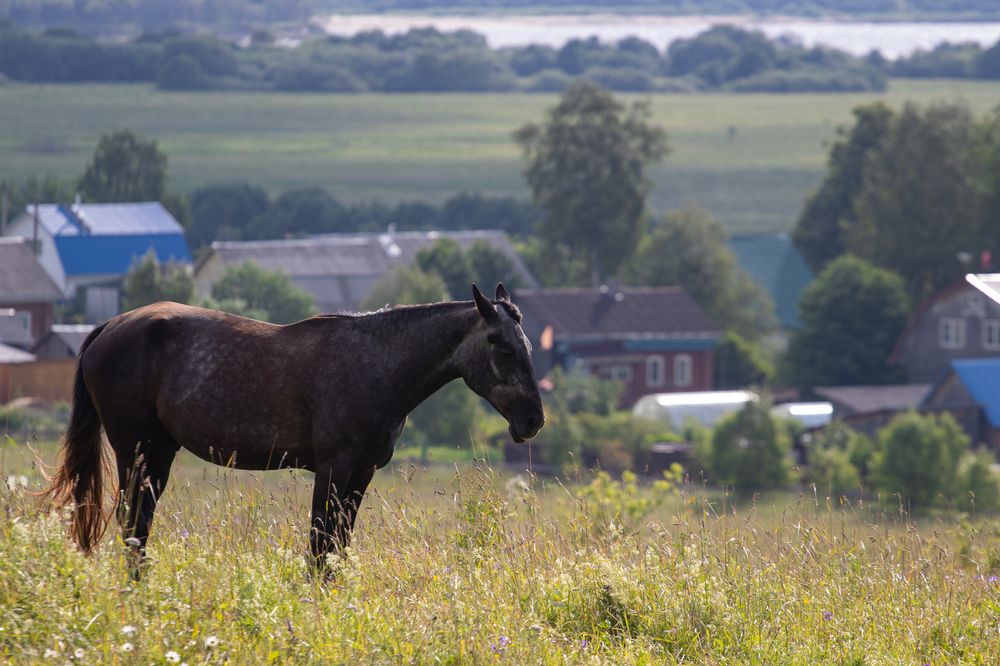 Photograph by Андрей Вешняков