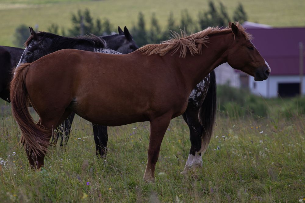 Photograph by Андрей Вешняков