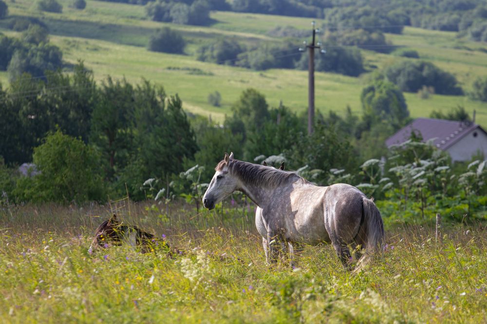 Photograph by Андрей Вешняков