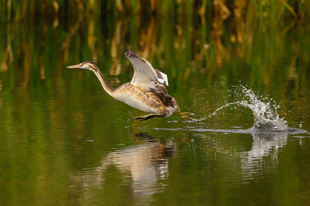 Photograph by Александр Есликов