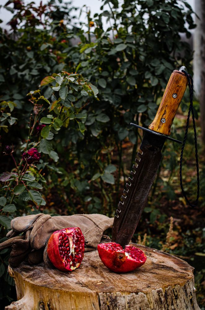 Photograph by Дмитрий Тютюнник