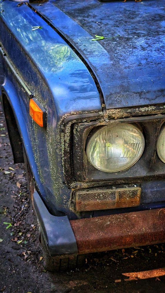 Photograph by Ирина Багдасарова