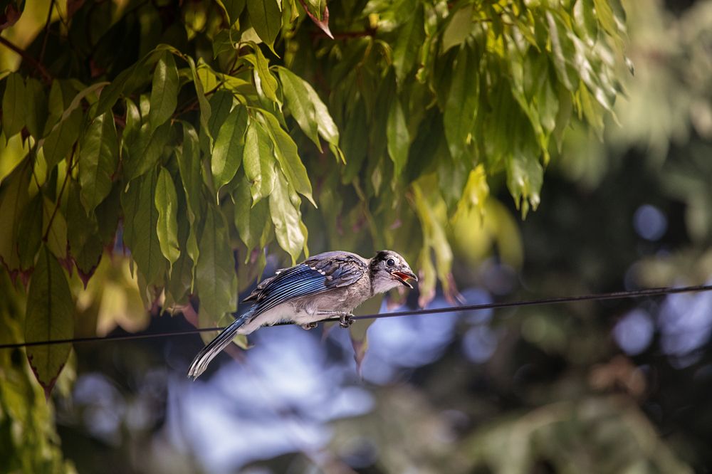 Фотография автора Татьяна Анпилова