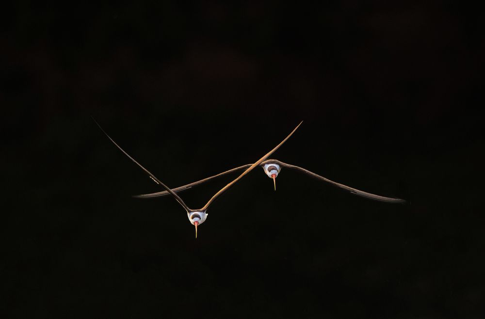 Photograph by Sachitananda Jena