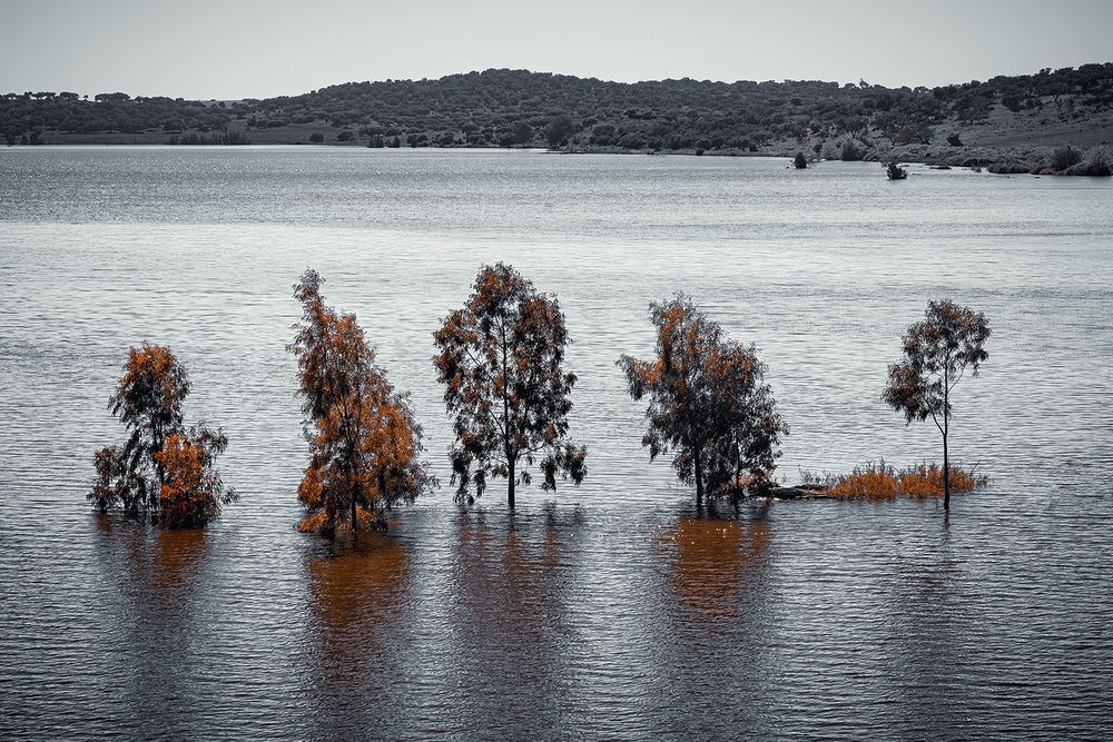 Одинокие, но вместе