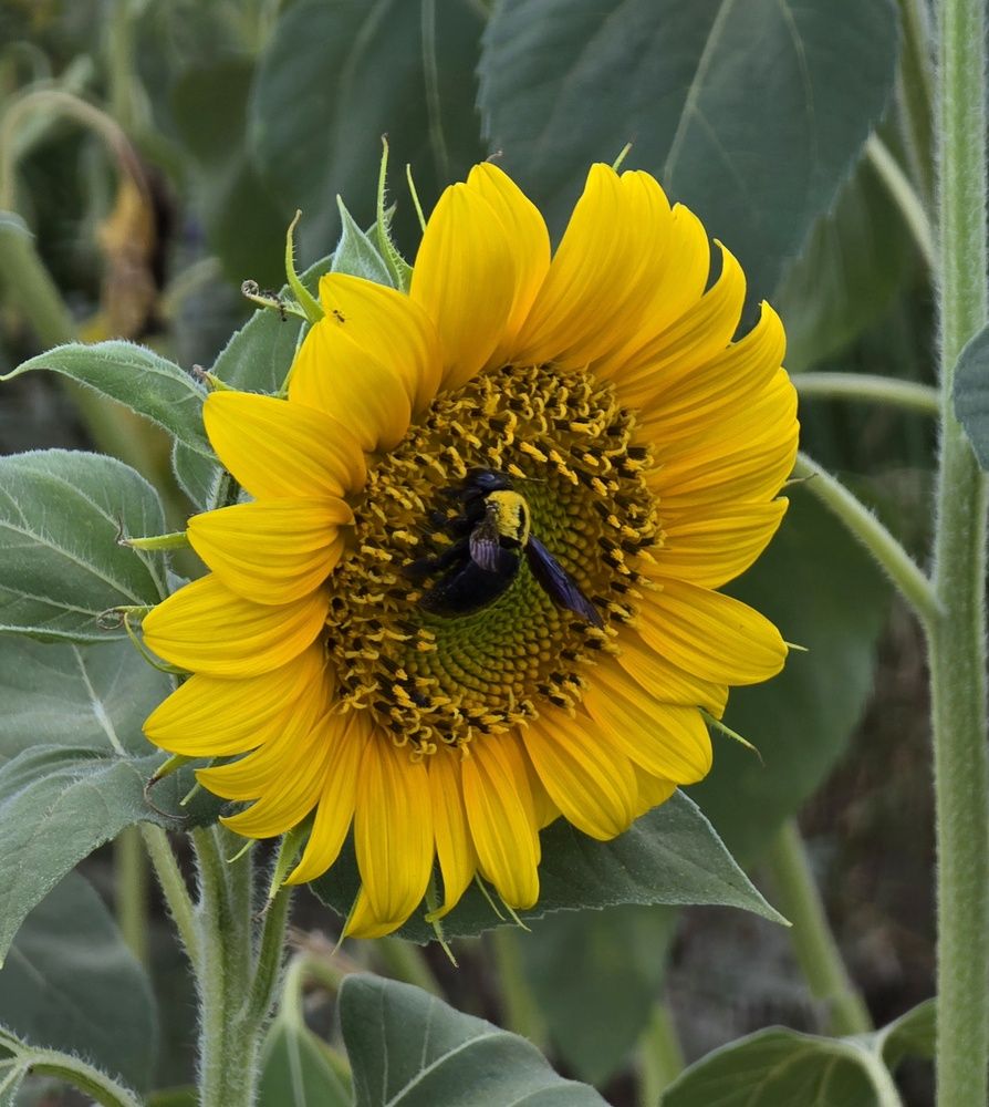 Photograph by Yulia Rotbach