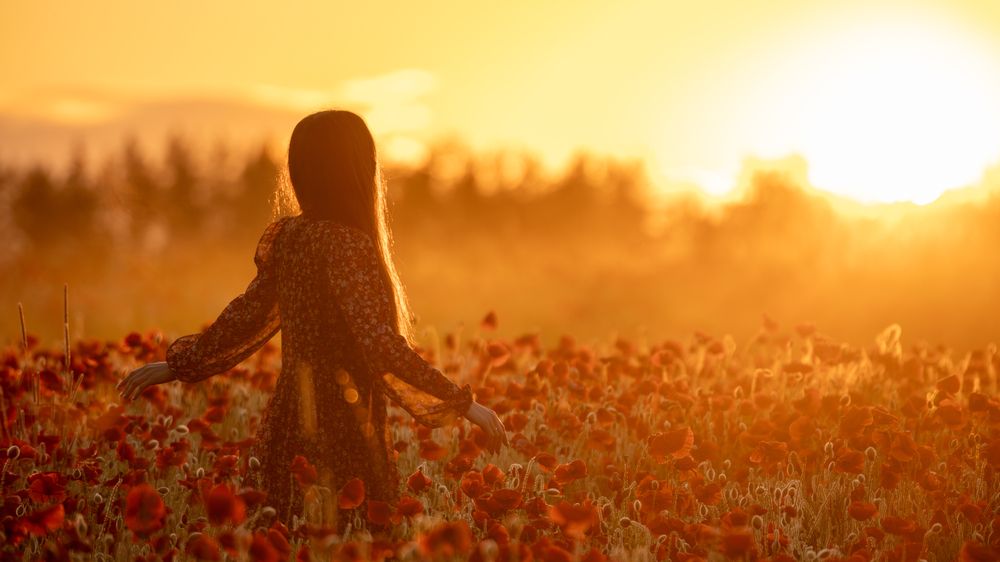 Golden Hour in the Poppy Fields