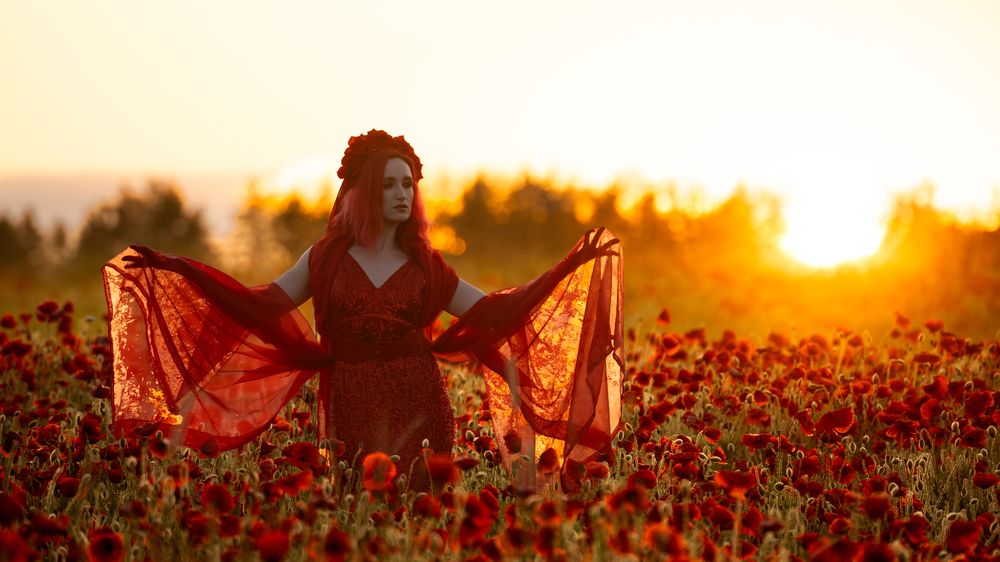 Golden Hour in the Poppy Fields