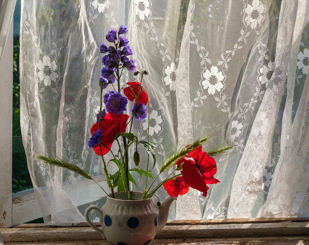 Фотография автора Наталья Липовская