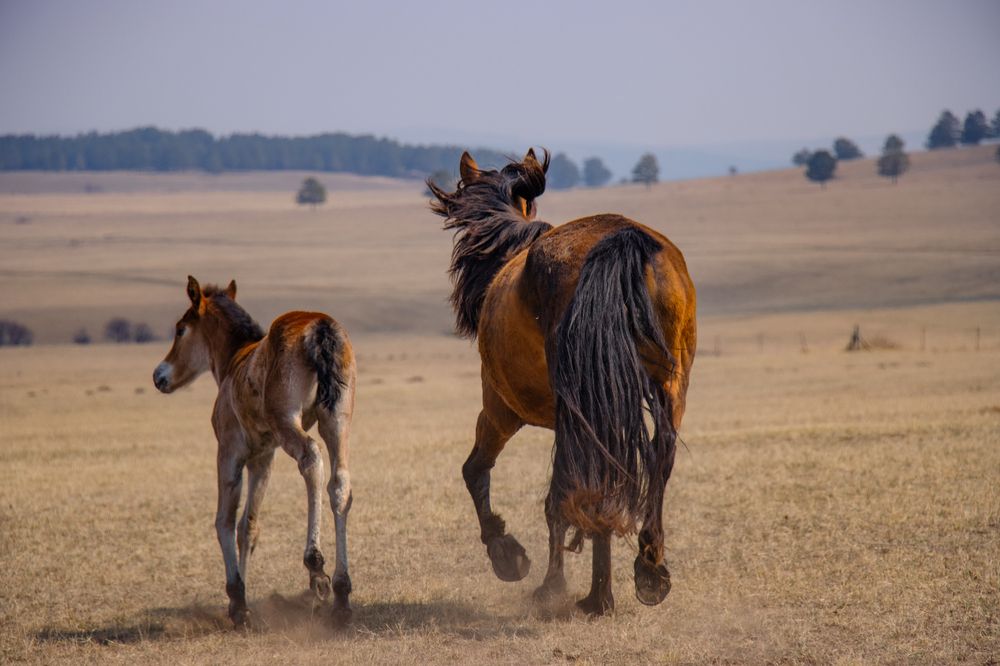 Photograph by - Баялигэ