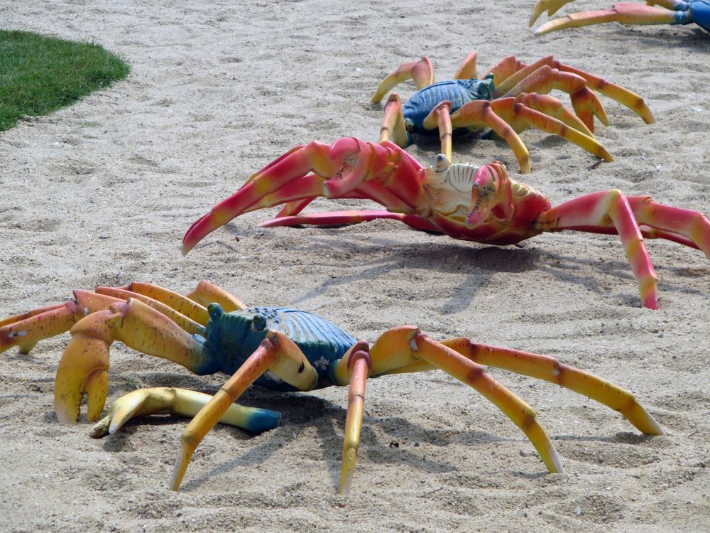 Photograph by Samuel Chan