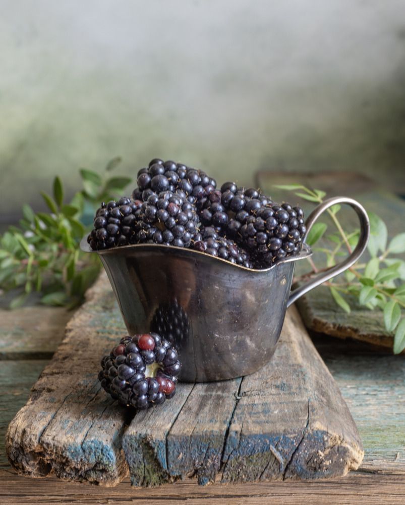 Photograph by Milla Walmus