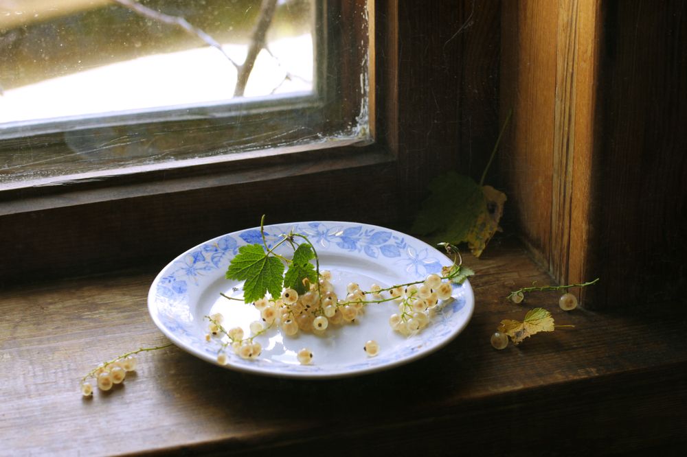 Photograph by Ольга Кочнева