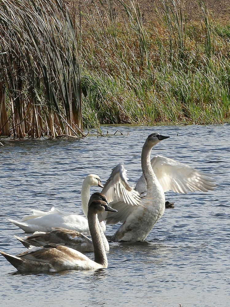 Photograph by Егор Жук