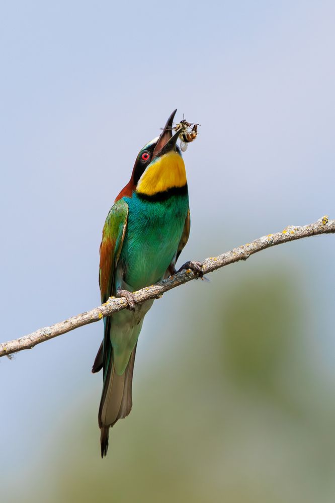 Photograph by Шульгин Вадим