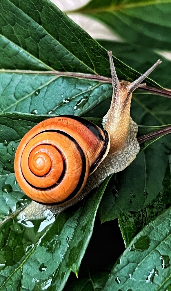 Photograph by Светлана Моисеева