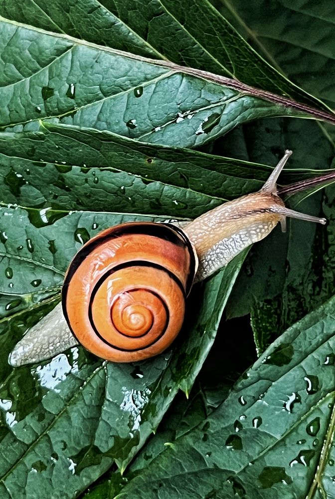 Photograph by Светлана Моисеева