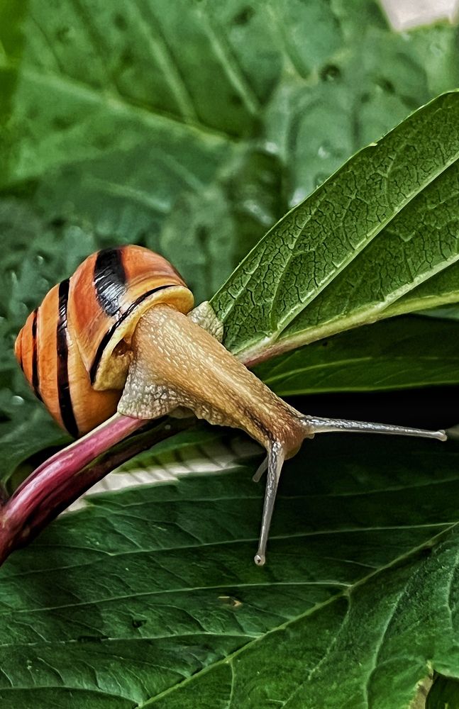 Photograph by Светлана Моисеева