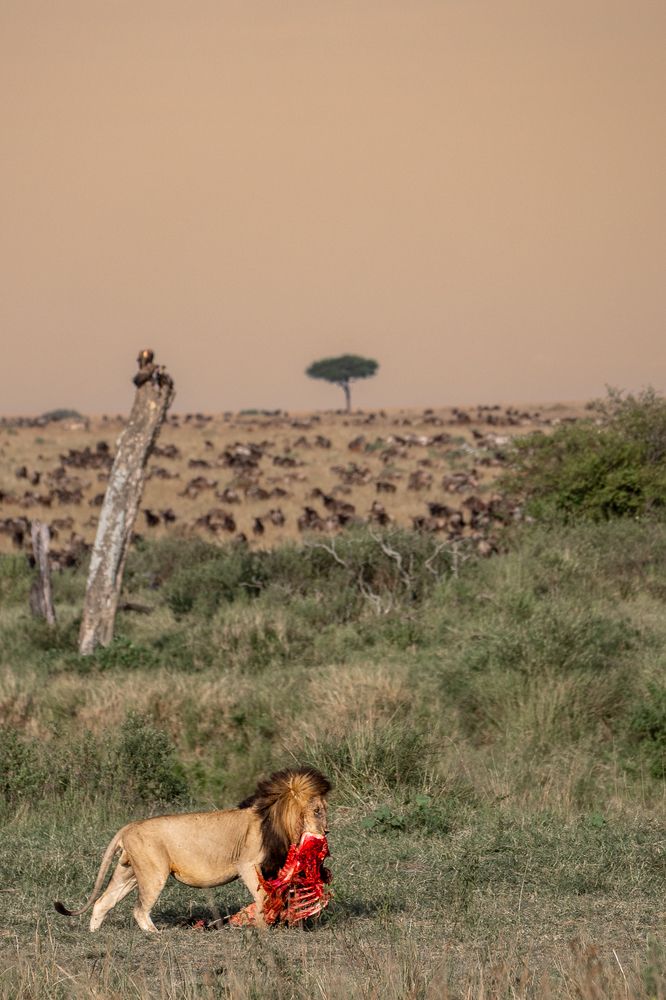 Photograph by Pula Pranav