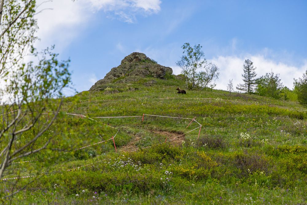 Photograph by Максим Фролов