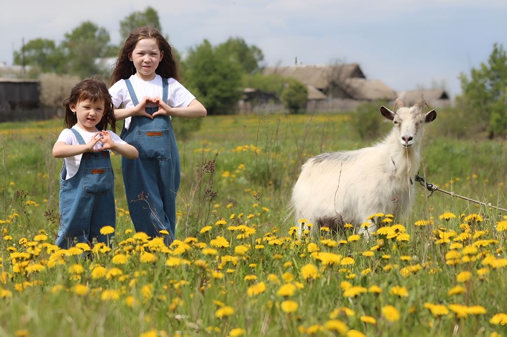 Фотография автора Людмила Иванова