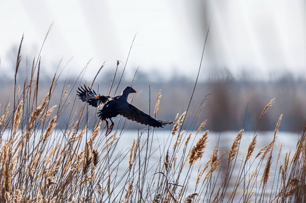 Photograph by Волынский Виктор