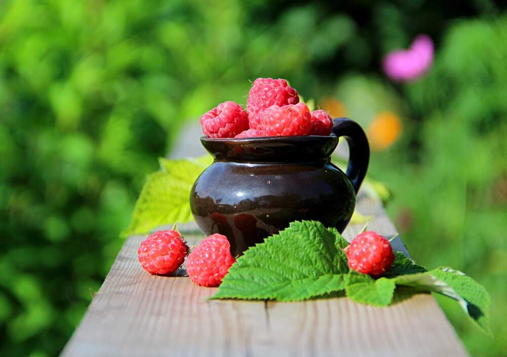 Photograph by Людмила Таерова