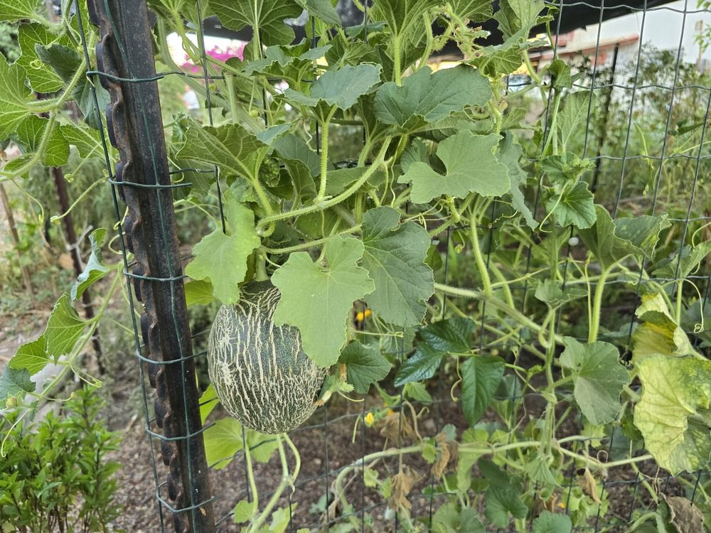 Photograph by Yulia Rotbach