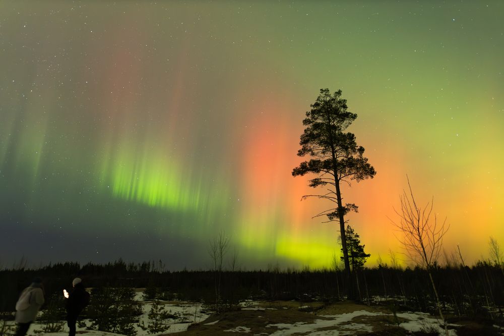 First Frames from a Successful Aurora Hunt at Voloyarvi