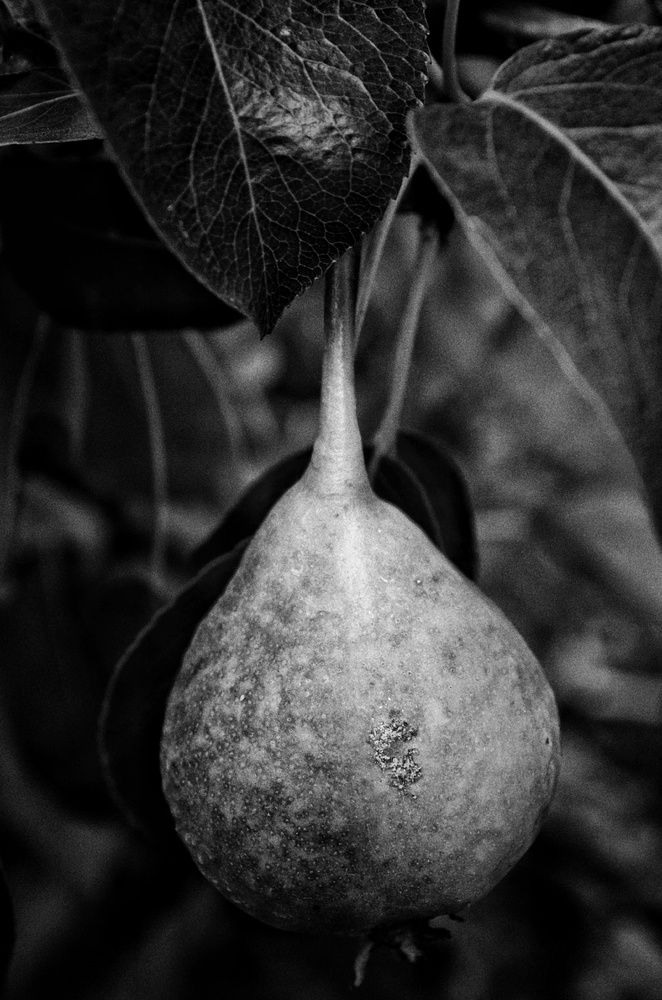 Photograph by Marina Guseva