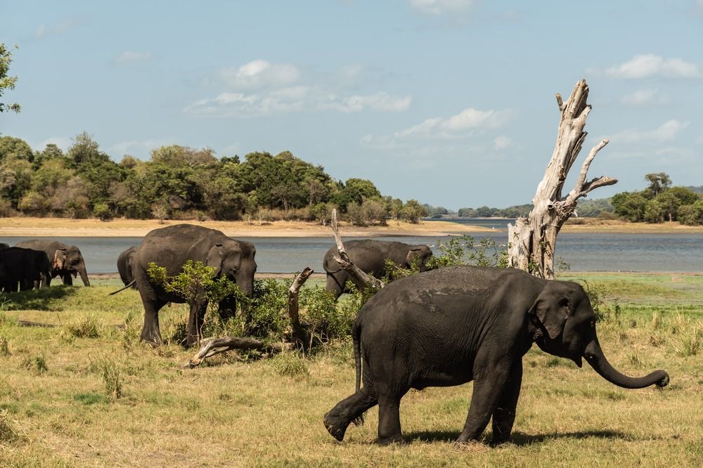 Photograph by Татьяна