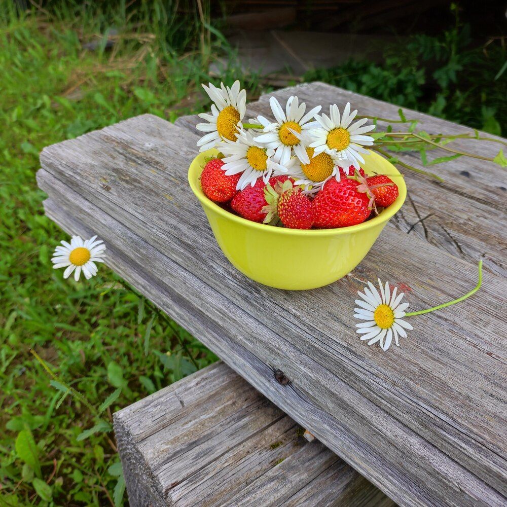 Photograph by Елена Казарина