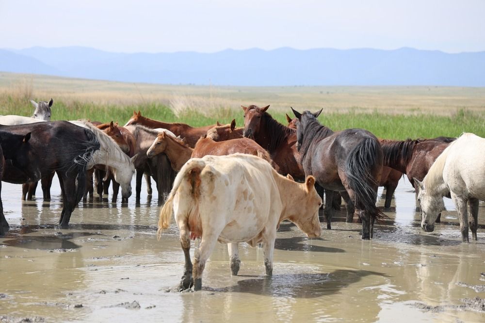 Photograph by Марина